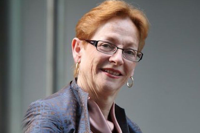 Teals North Shore Candidate Revealed