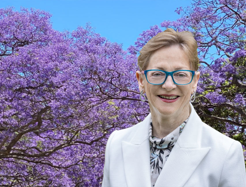 Helen Conway launches campaign, touted as most credentialled candidate state-wide for NSW lower house